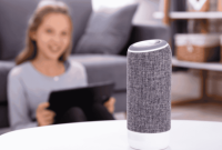 Voice-controlled home assistant gadgets